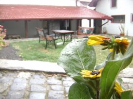 Pensiunea Casa Natura | Cazare Baile Herculane