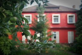 Apartament Regim Hotelier Timisoara | Cazare Timisoara